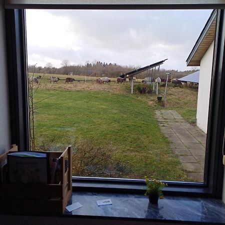 Ferienwohnung Hyrdeskolen Give Exterior foto